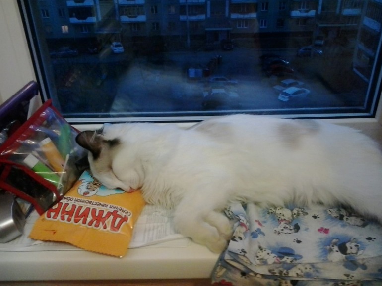 Про нашу любимку.