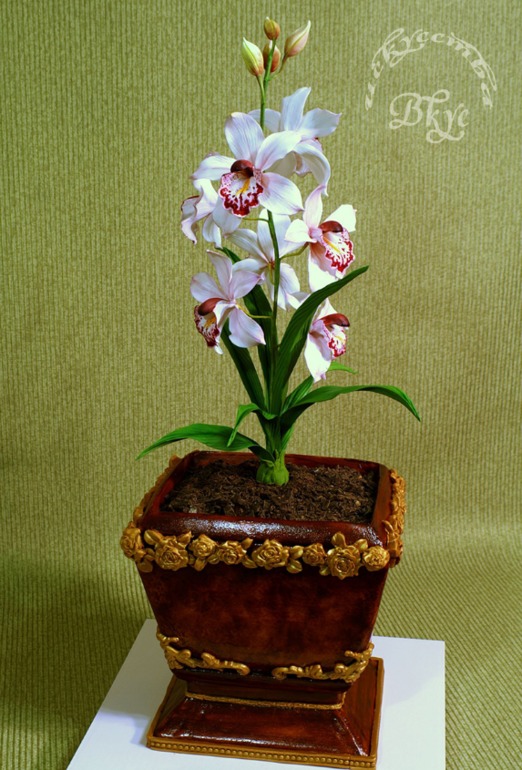 Торт с орхидеей "Цимбидиум"