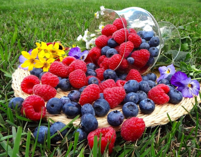 Контрольная работа №6. 3 способа цветокоррекций фотографий.