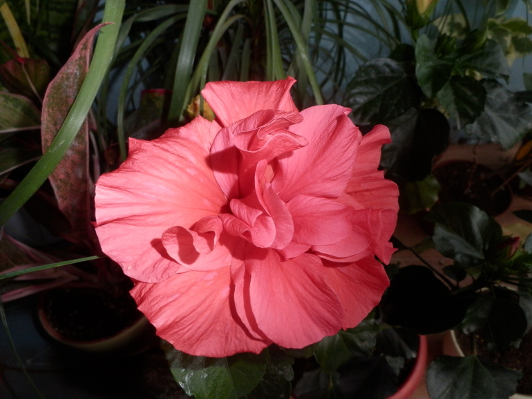 Итоги лета. Некоторые из моих любимчиков.