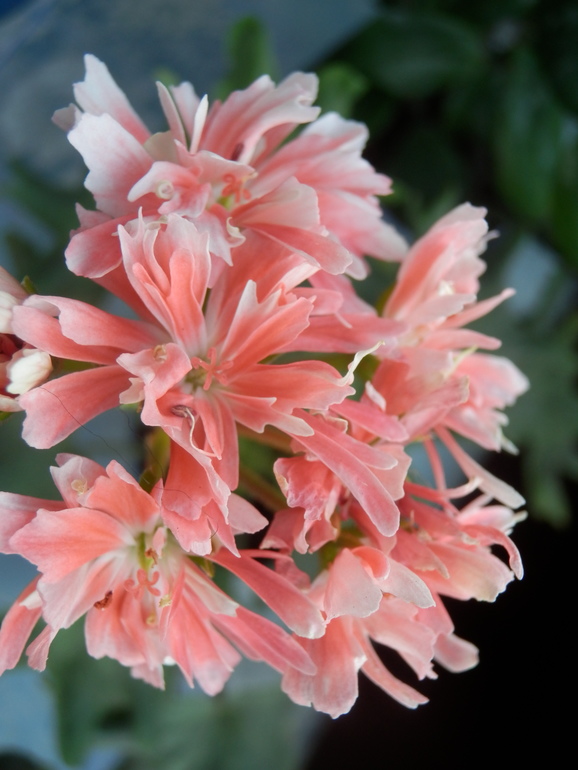 Итоги лета. Некоторые из моих любимчиков.