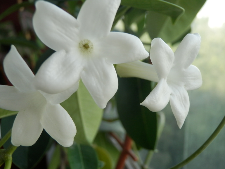 Итоги лета. Некоторые из моих любимчиков.