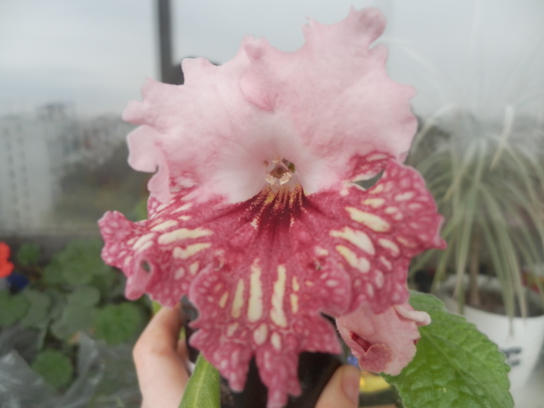 Итоги лета. Некоторые из моих любимчиков.