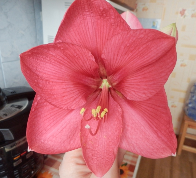 Пересортица и Ко)