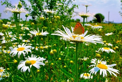 Отчет о лотерее №21