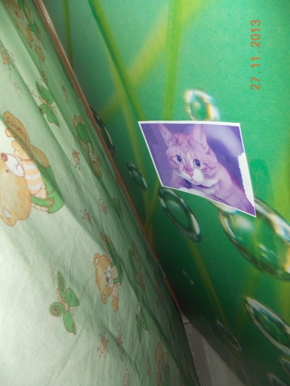 Наша первая Тематическая неделя "Домашние животные" (часть 1)