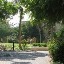 Кто что знает про отель al Hamra fort beach?интересно все!!!