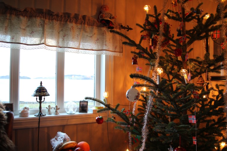 Добро пожаловать к моим норвежским родственникам.