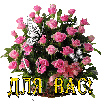cfc08b1f7fe779bbaa06864311e7069d.gif