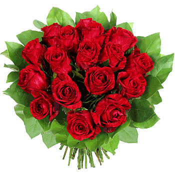 315bcf41815013fcbe9e65f183d62ad9.gif