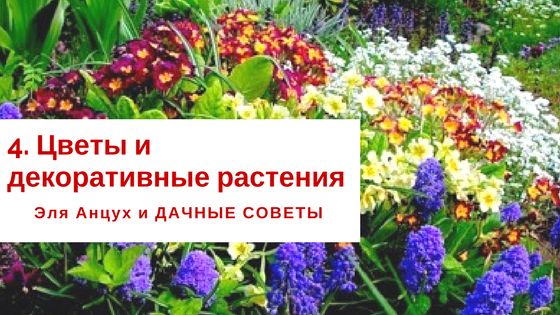 Как сделать бирки этикетки упаковку с логотипом в домашних 79 Как сделать бирки этикетки упаковку с логотипом в домашних 77