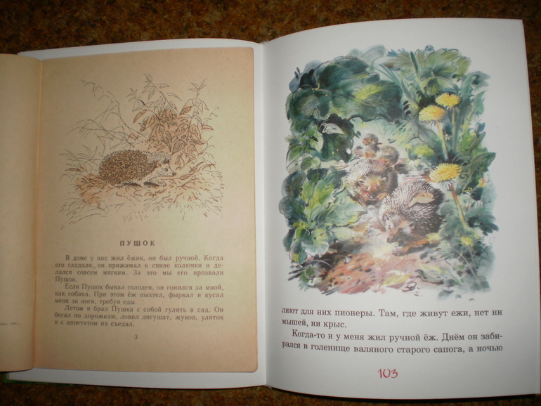 Осенние ежики