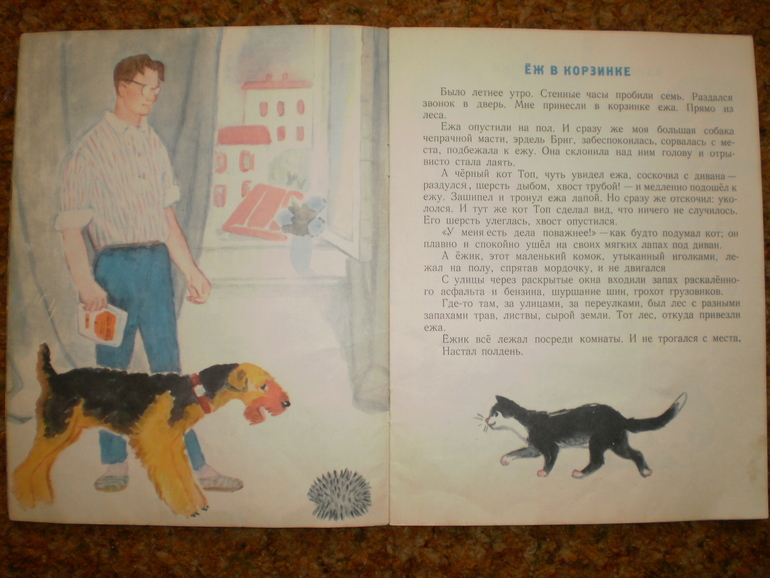 Осенние ежики