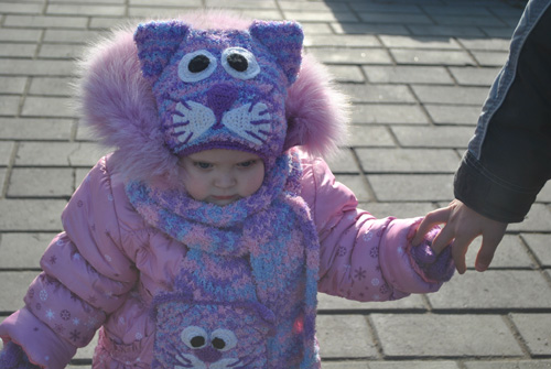 Сиреневый кот.