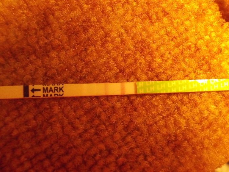 Правда ли что...?