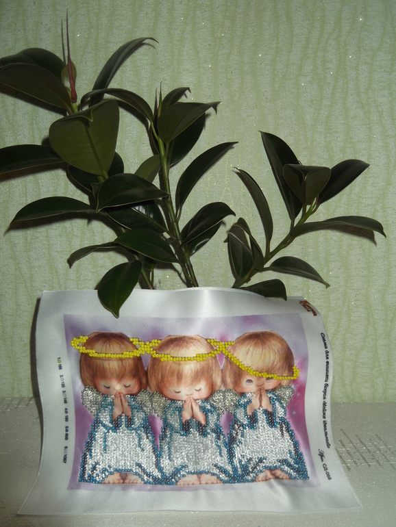 Заразилась....планирование...