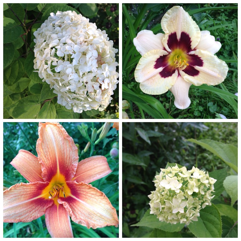 Чем порадовало 2013 лето:))