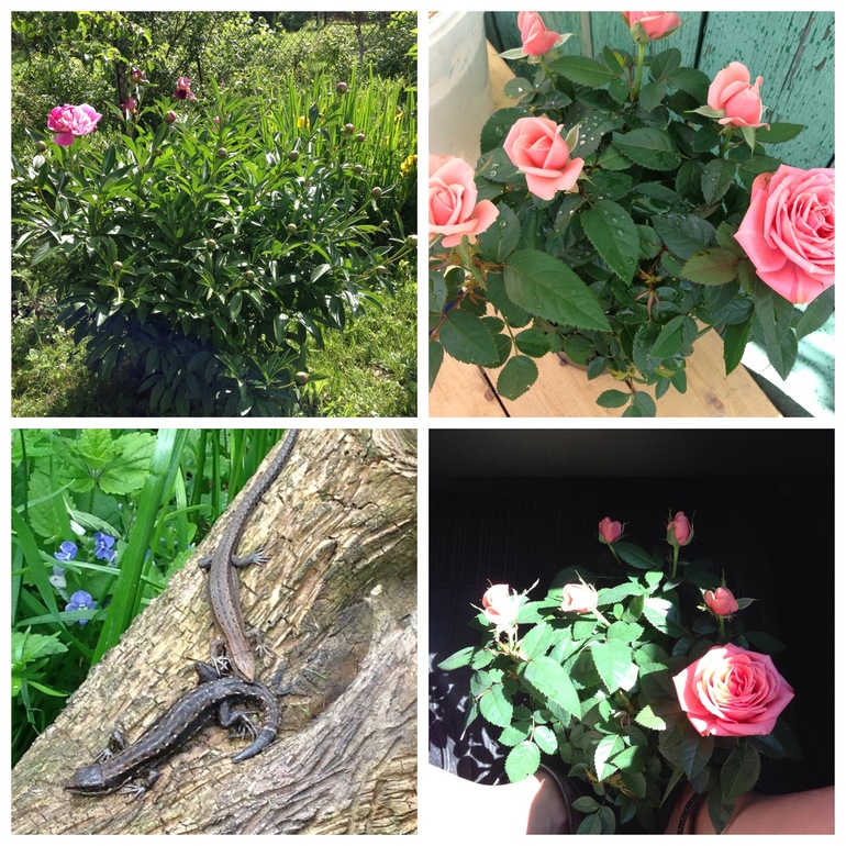 Чем порадовало 2013 лето:))