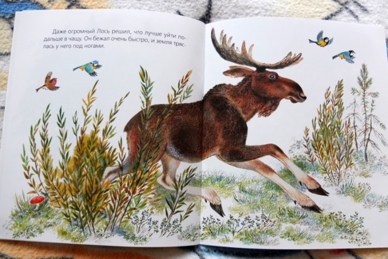 Наши медведи =)