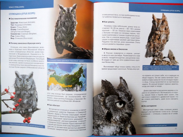 Итоги книжного ноября