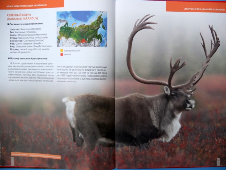 Итоги книжного ноября