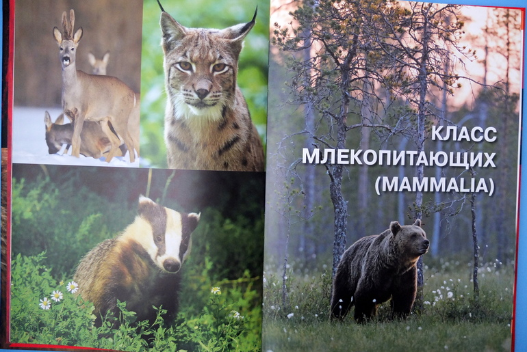 Итоги книжного ноября