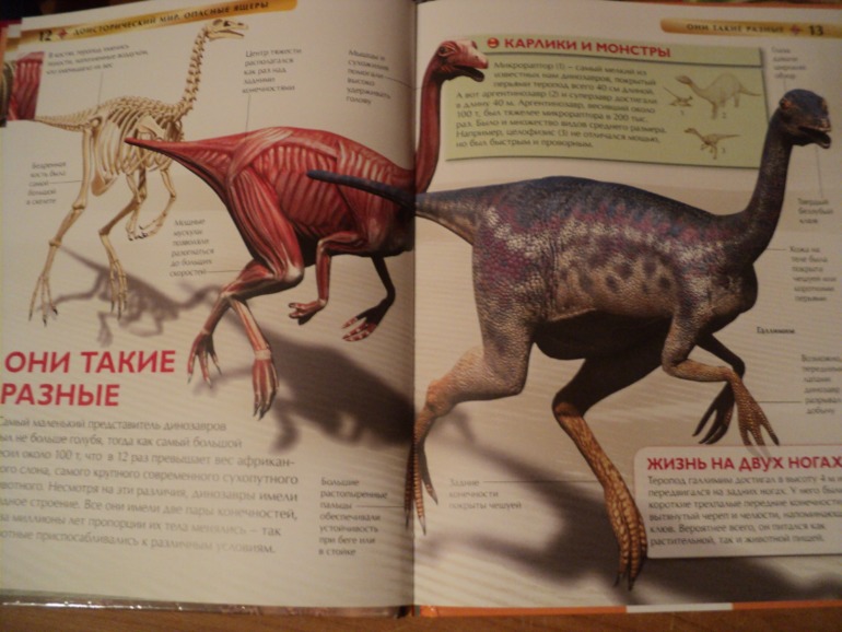 Наши книжки в сентябре.