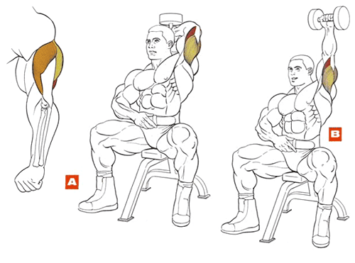 ca0b65baec6ba5ba589b9337e1004f8f.png