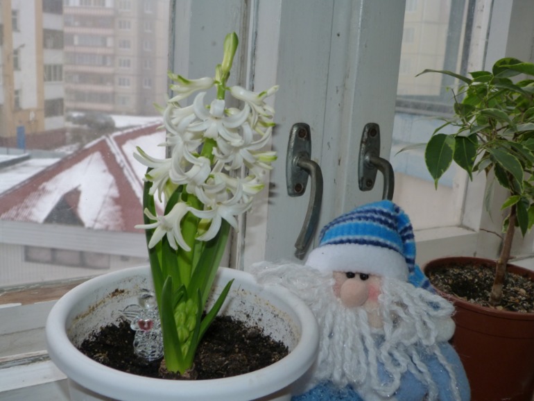 Ароматная сдоба!!!