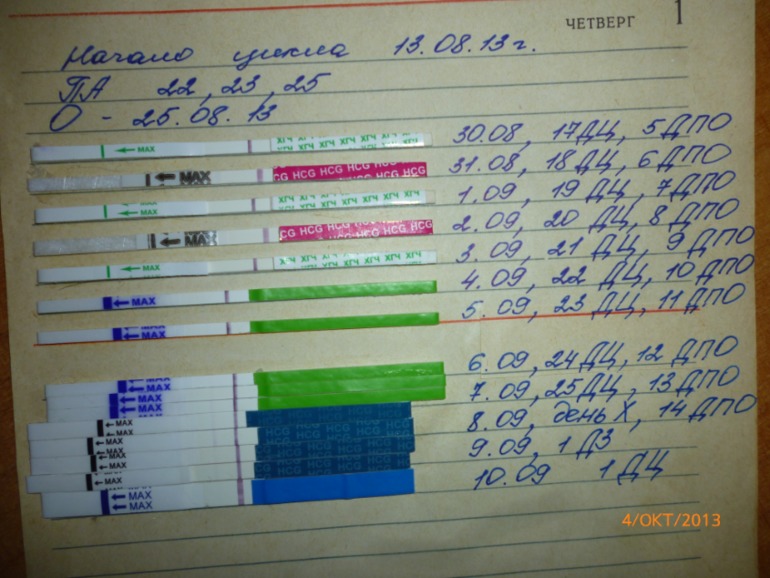 Вот так в прошлом месяце выглядела моя наверно БхБ.И в этом месяце имеем.юю