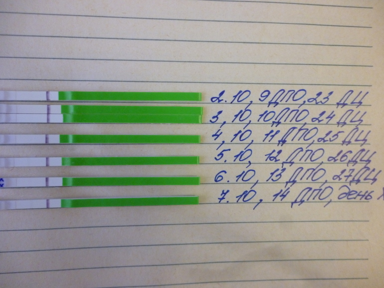 14 дпо!максимальный день Х