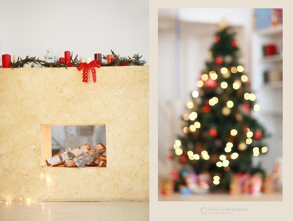 Осталось всего 1 место на Новогодний фотопроект.