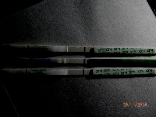 c554400dcacfc6ee69229cfca3087c58.jpg