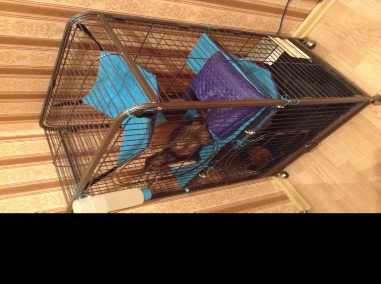 Во сколько оценить работу?