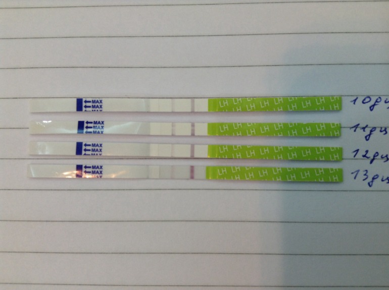 Девочки, не проходите мимо, мне важно ваше мнение!!!