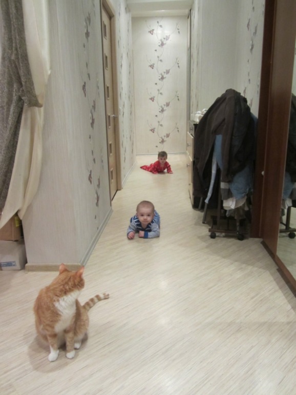 Наши будни! )))