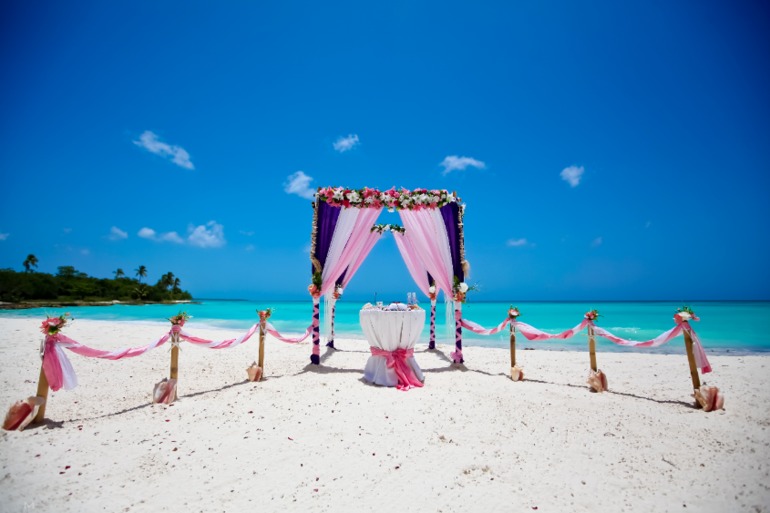 Наша свадьба . О. Саонна