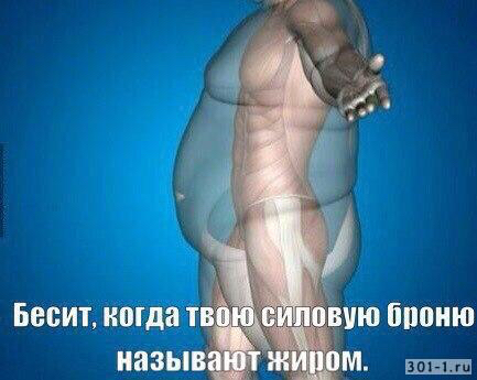 Можно ли есть куриные сердечки на диете
