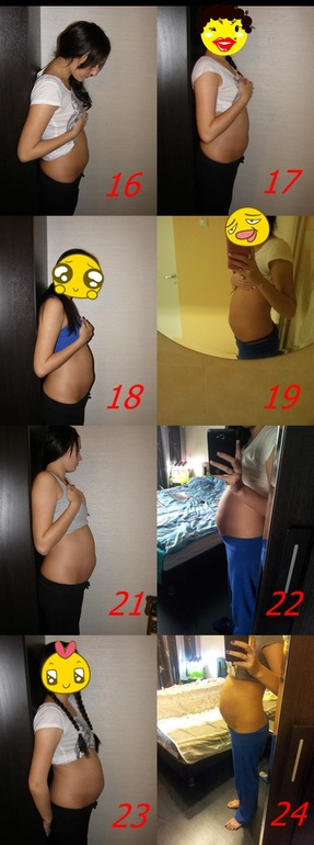 Вот и нам 24 недельки сегодня