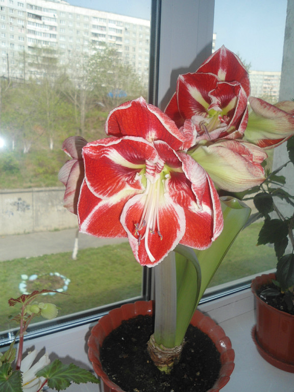 Мой мини РАЙ!