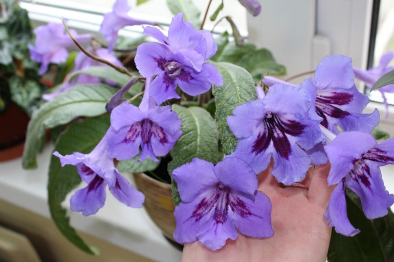 Мой мини РАЙ!