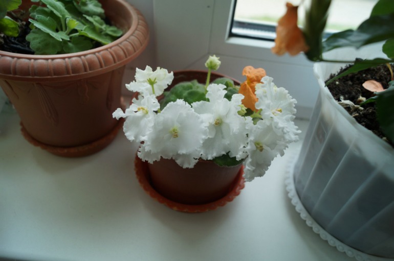 Мой мини РАЙ!