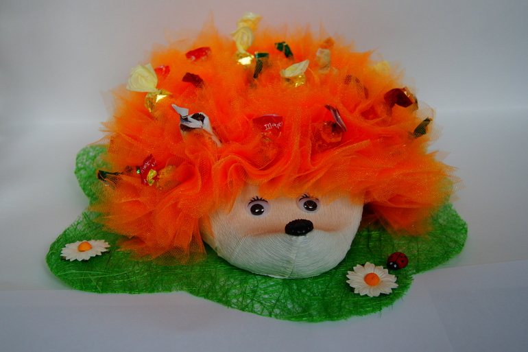 Мой первый ёжик!