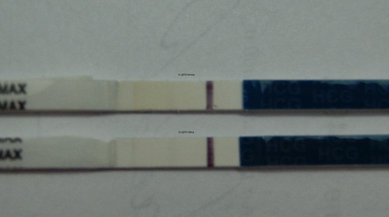 Ну как же так?????????? 13 ДПО......