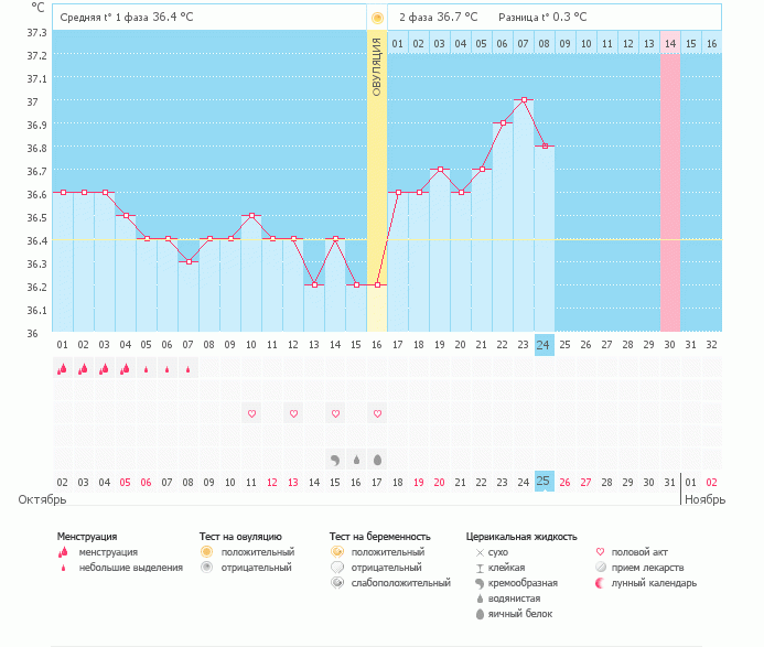 если появилась полоса месячных на графике, беременности не будет? я что то не понимаю (((