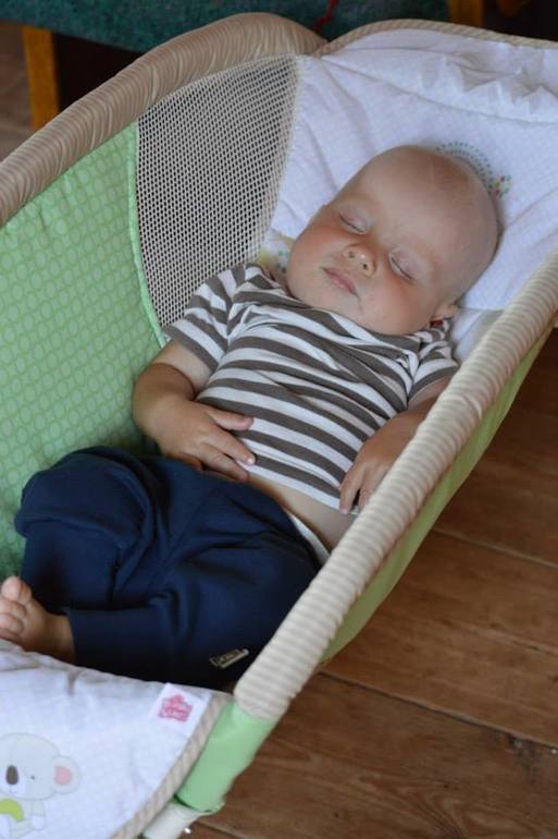 собачья жизнь))))