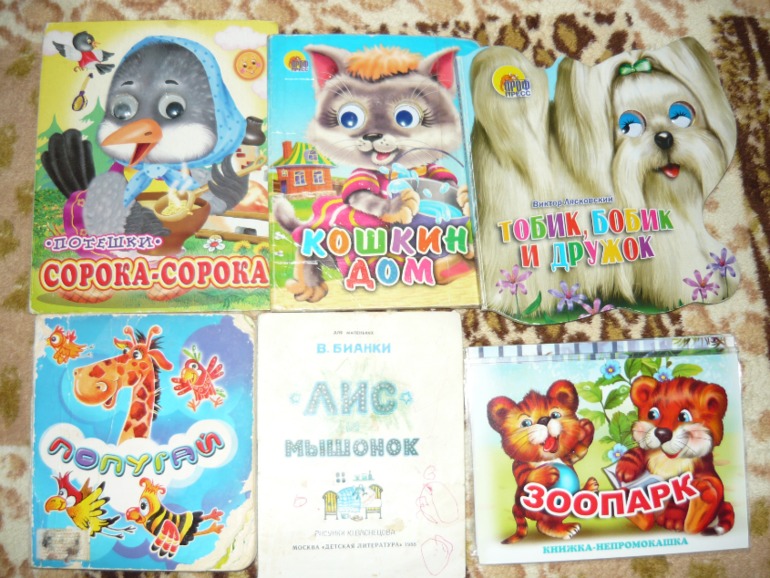 Книжки двух мальчишек