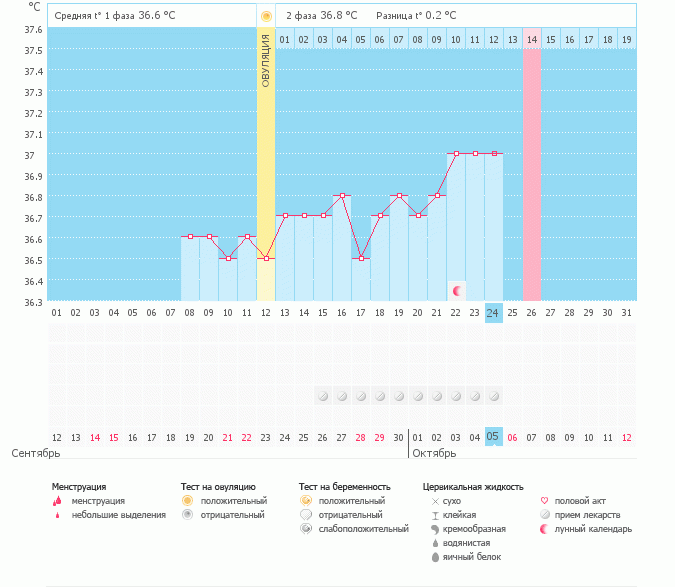Произошло ли зачатие?