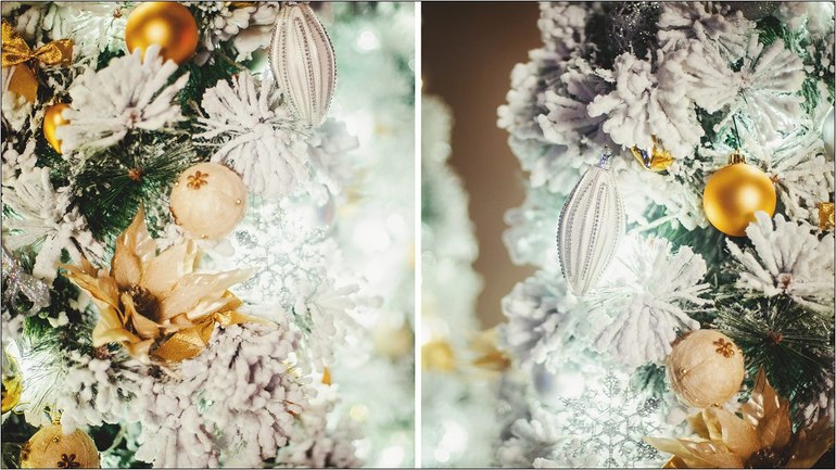 Фотопроект "Новогодняя сказка" - ОСВОБОДИЛОСЬ 1 место 23 ноября