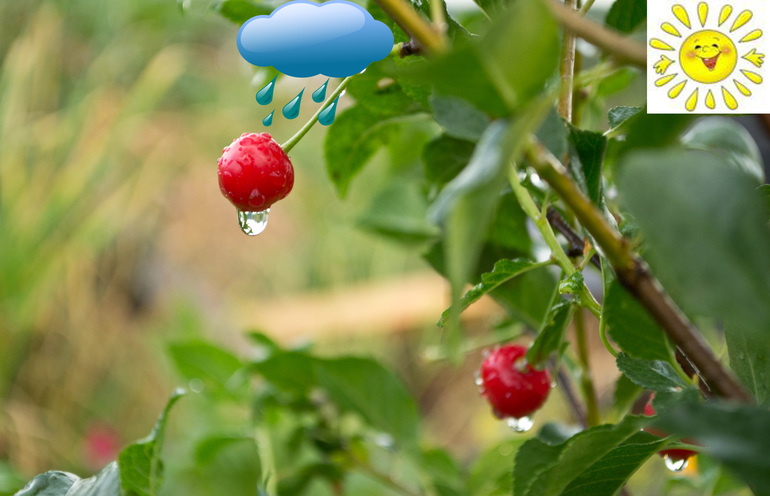 Урок №3. Слои